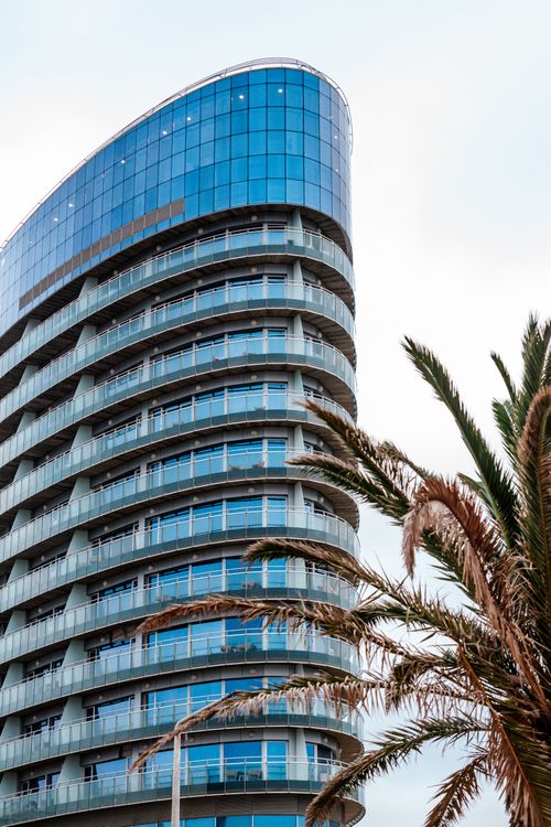 Free Curved glass building with palm in foreground, modern urban design. Stock Photo