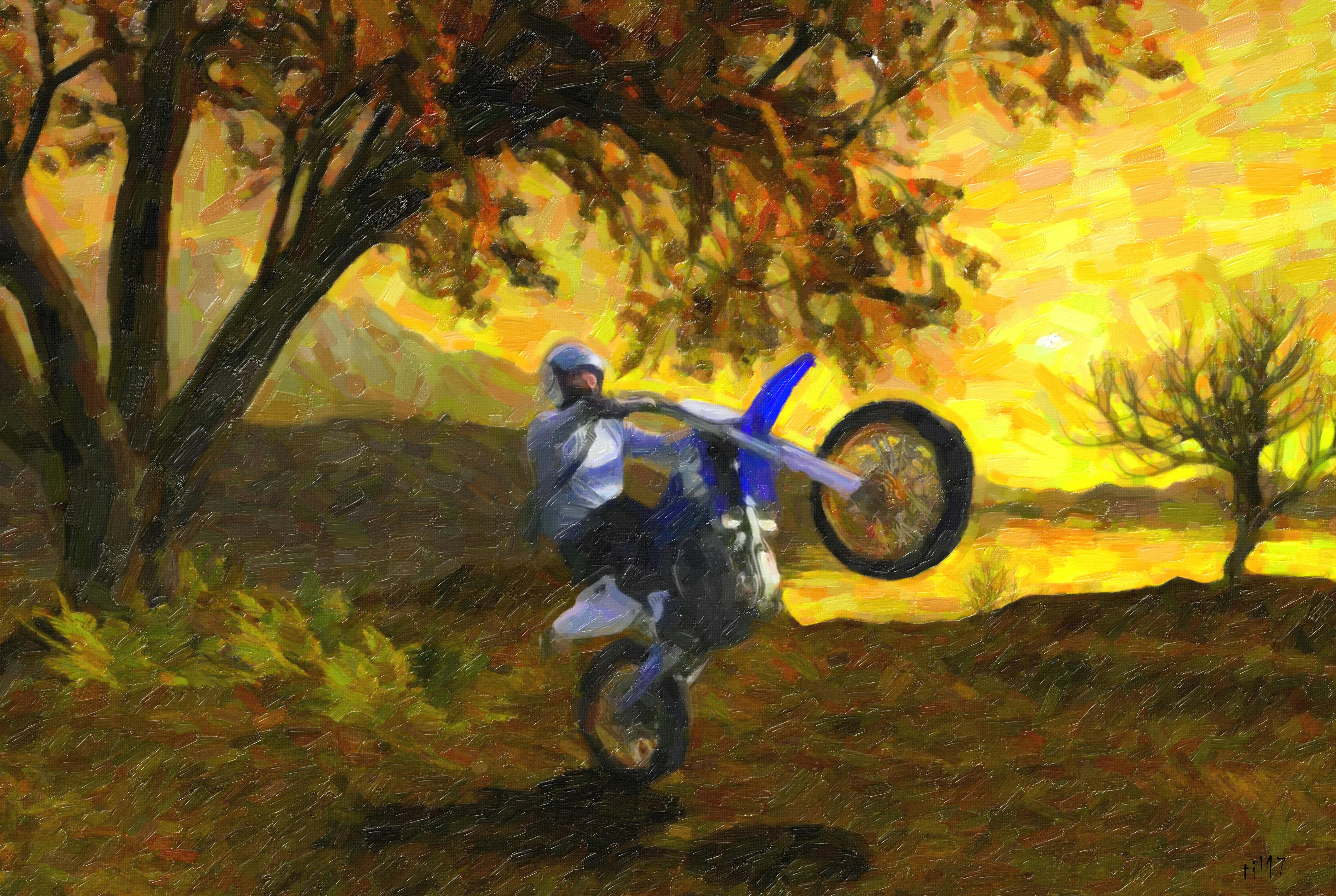 Wawel Castle in Kraków