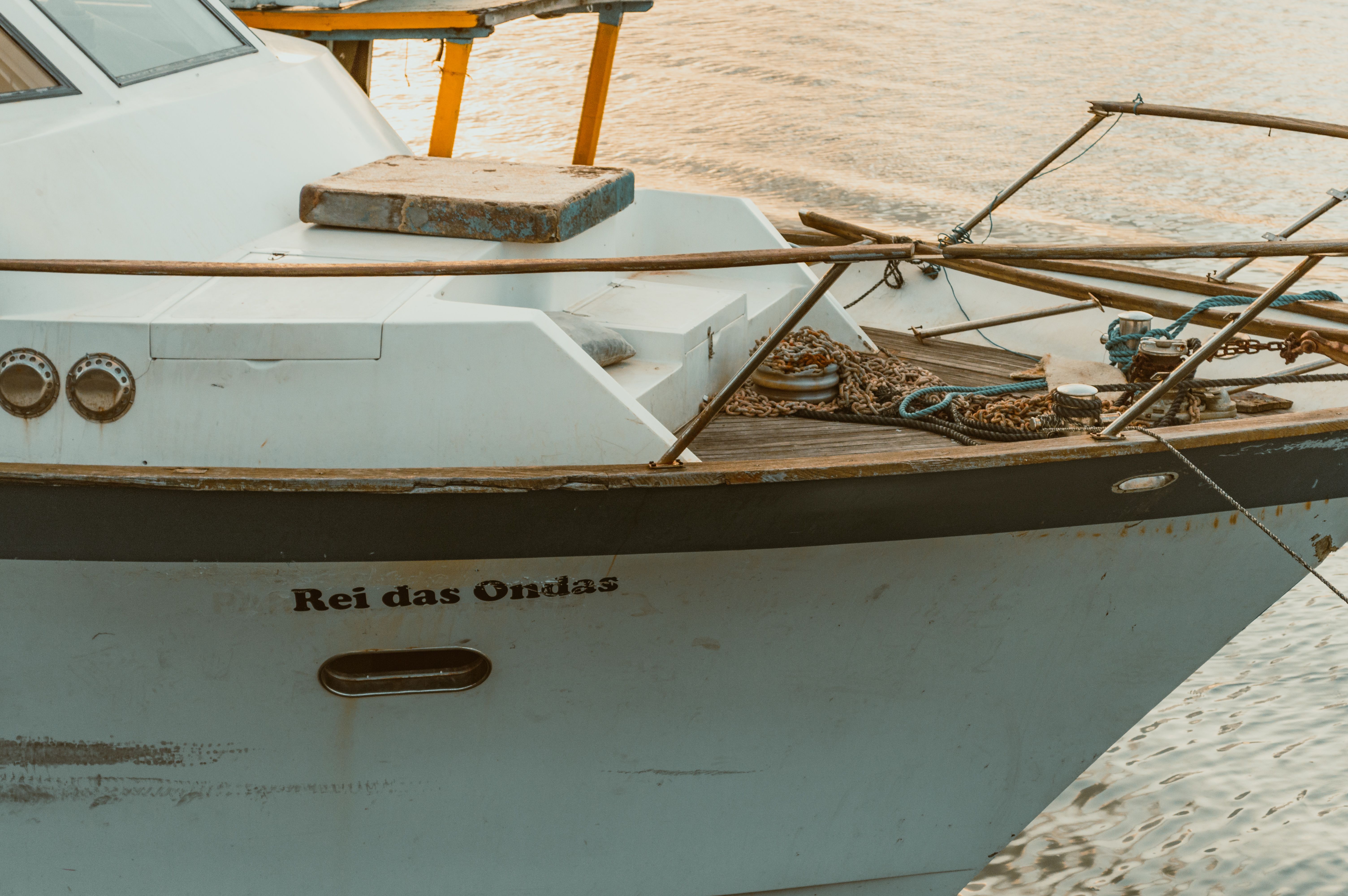 UMinho: Rui L. Reis riconfermato alla presidenza dell'I3Bs