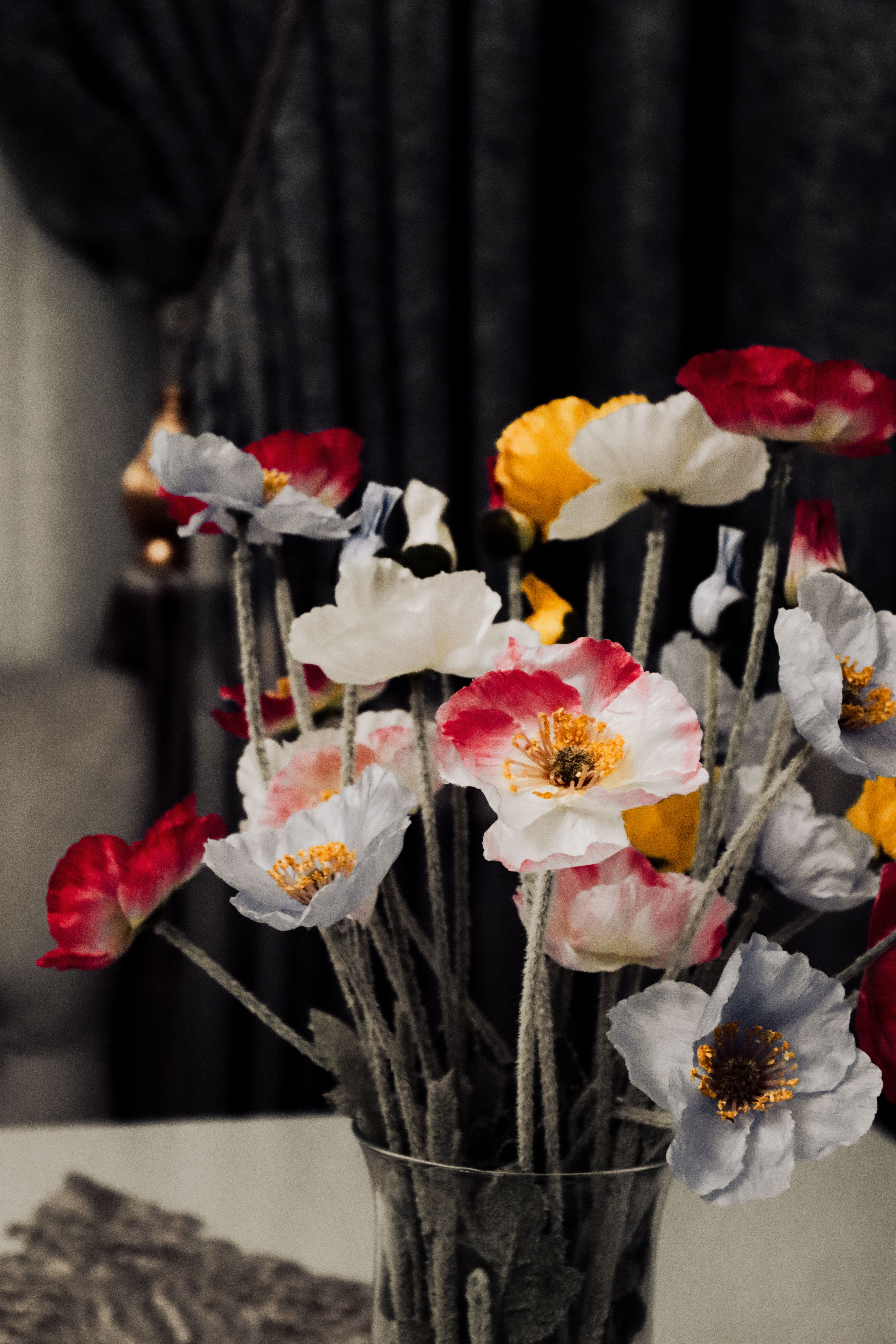 [ColoSach]-vibrant-red,-white,-and-yellow-poppies-in-a-vase-create-a-lively-indoor-setting.