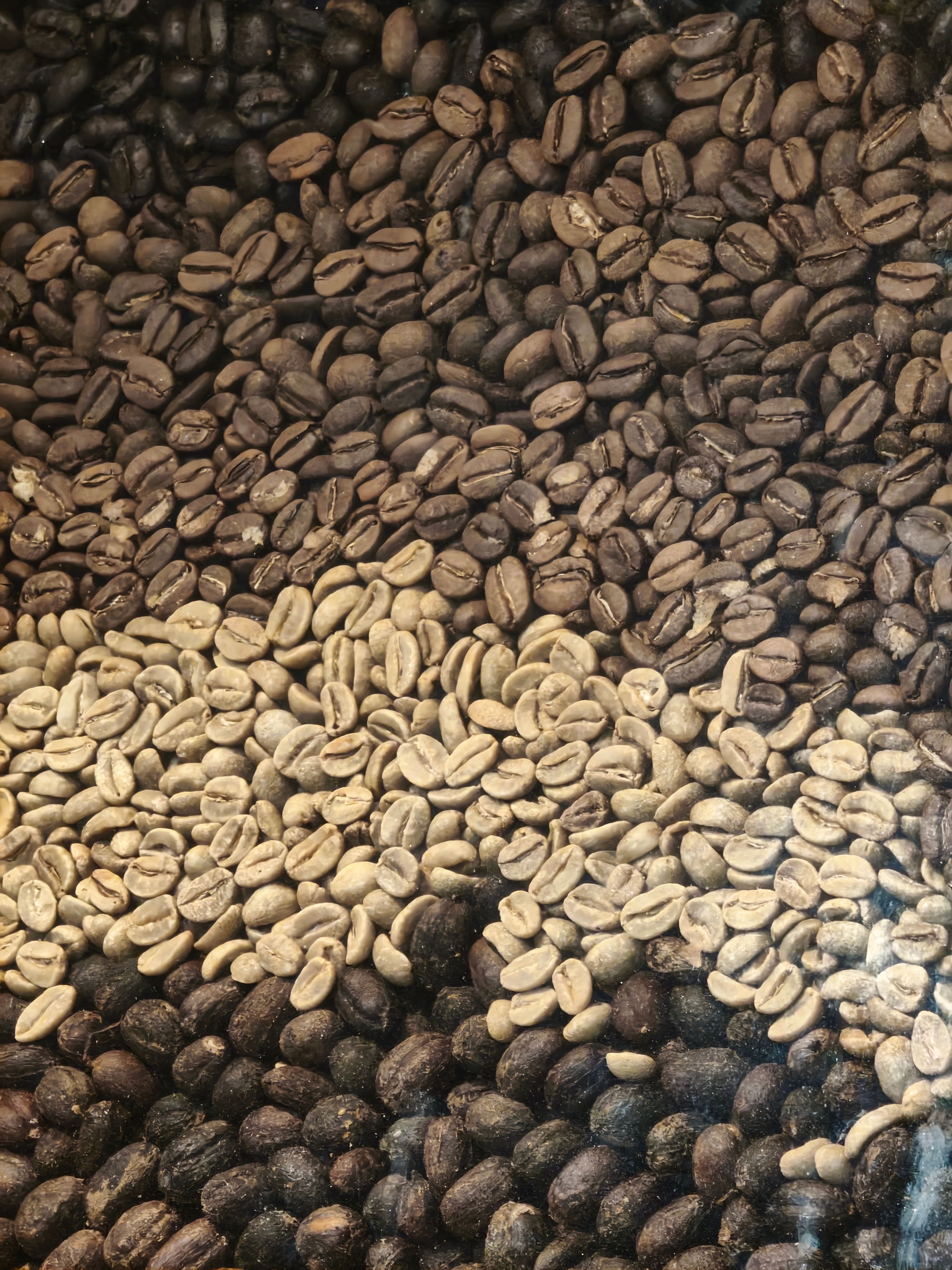 Heritage Yirgacheffe Beans 1kg