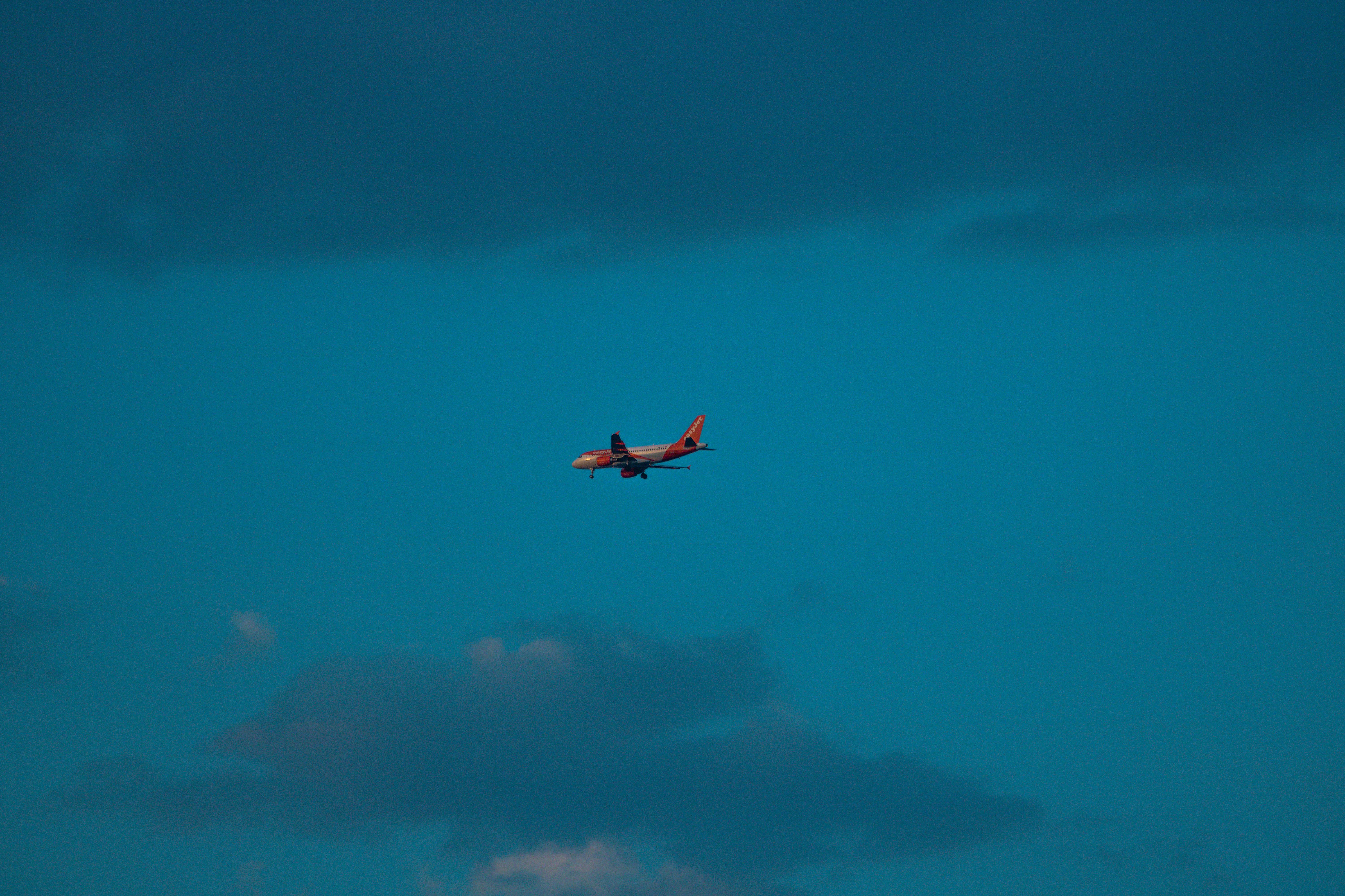 How Checked Baggage Moves Through An Airport