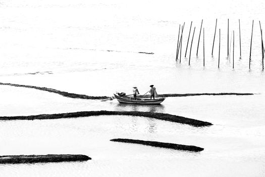 Traditional fishermen rowing on a calm river in Ningde, China captured in black and white.