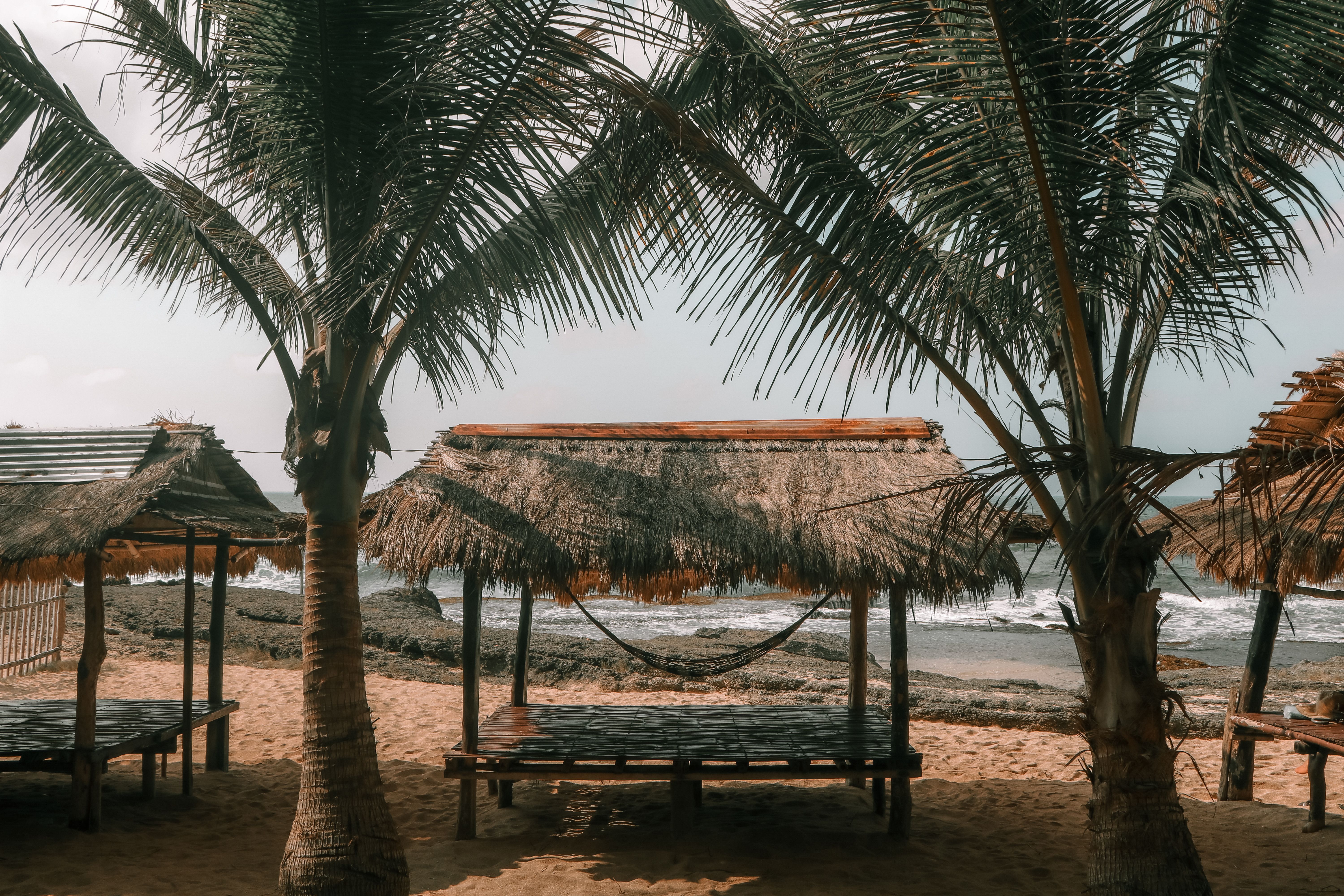 Rustic beach huts under palm trees on a sandy shore in Ilocos.