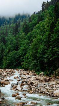 Serene view of a river cascading through a lush green forest in Rize, Türkiye.