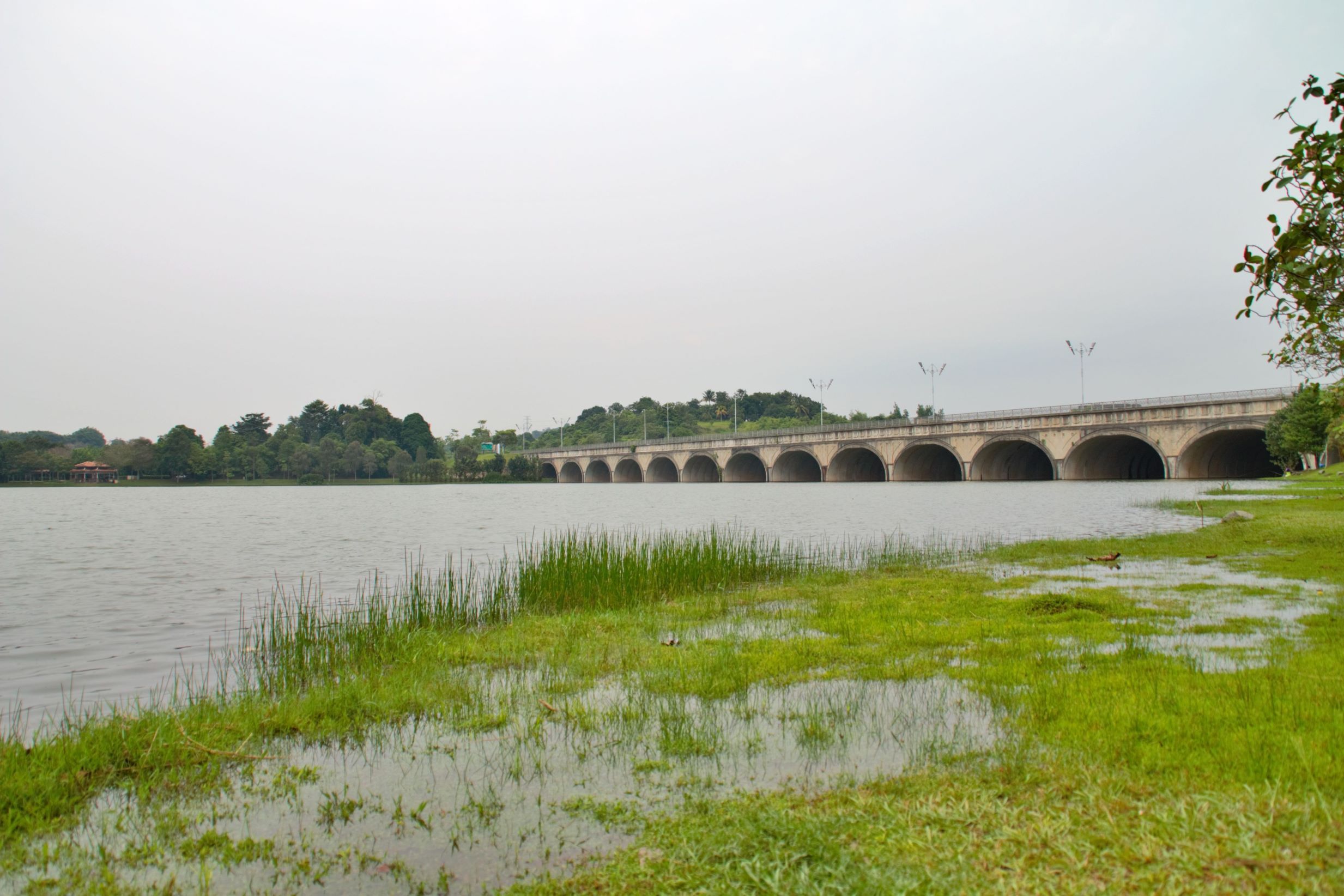 Seri Bakti Bridge spans a peaceful lake in Putrajaya, Malaysia, offering scenic views.