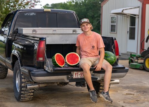 Free A young farmer sitting on a truck's tailgate with fresh watermelons on a sunny day. Stock Photo