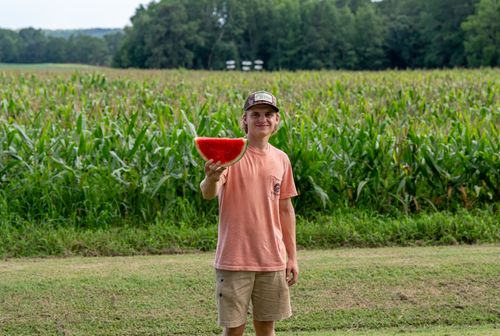Free Smiling young man presenting watermelon slice against lush cornfield background. Stock Photo
