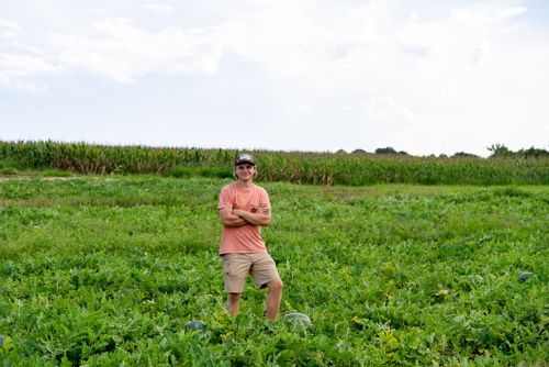 Free A young farmer stands confidently in a vibrant green watermelon field on a sunny day. Stock Photo