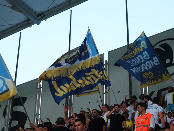 Hoisting Flags, image 3 of 4