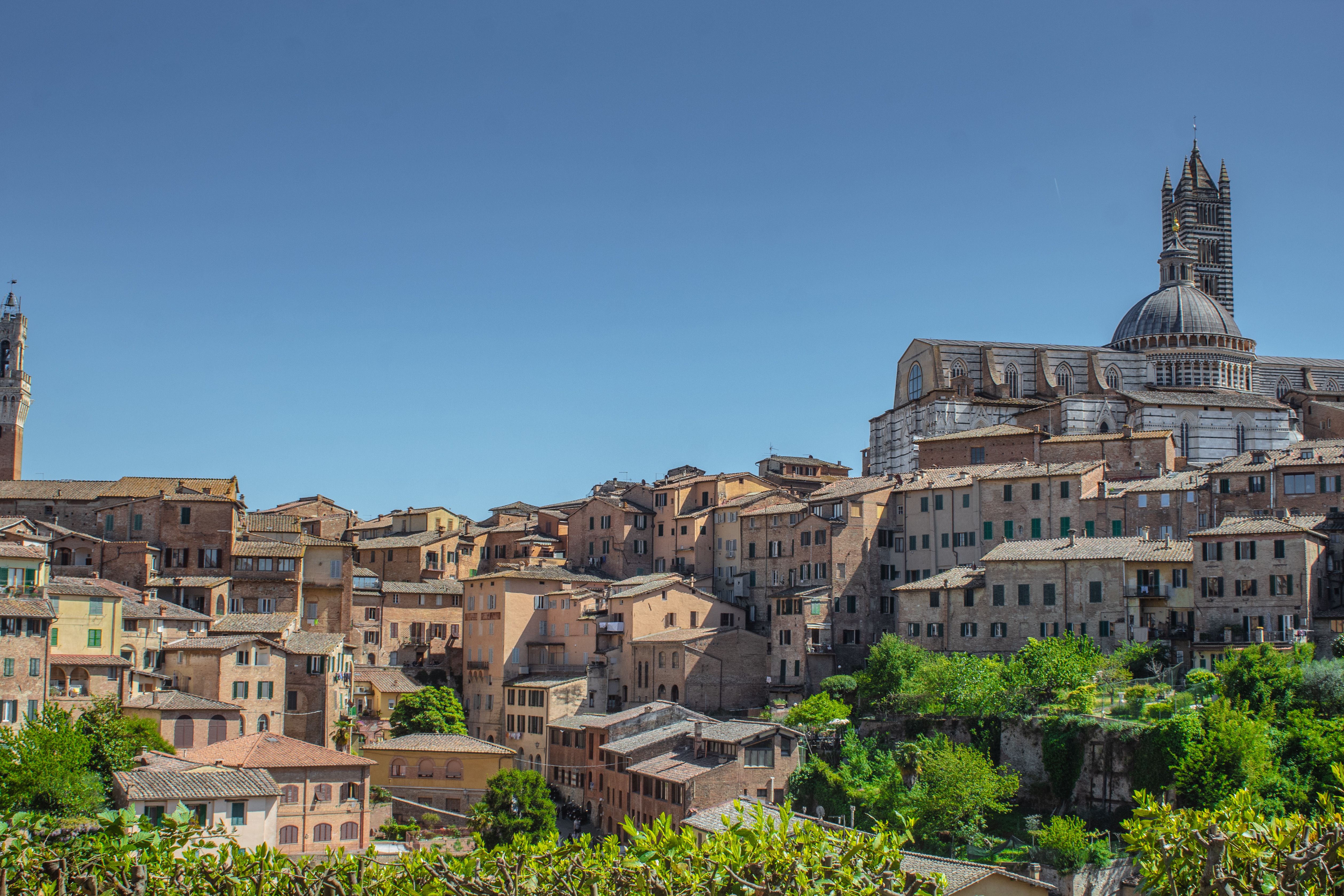 L’architecture médiévale de Sienne et sa cathédrale historique sous un ciel d’un bleu éclatant, en Italie.