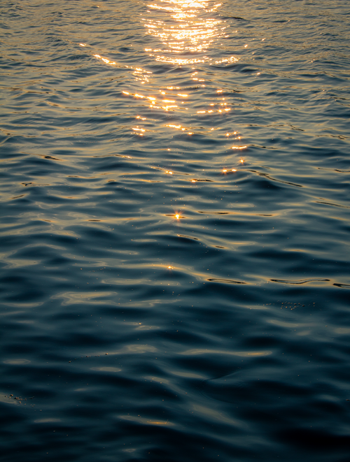 Free Golden sunlight reflecting on rippling ocean waves at sunset, creating a tranquil scene. Stock Photo
