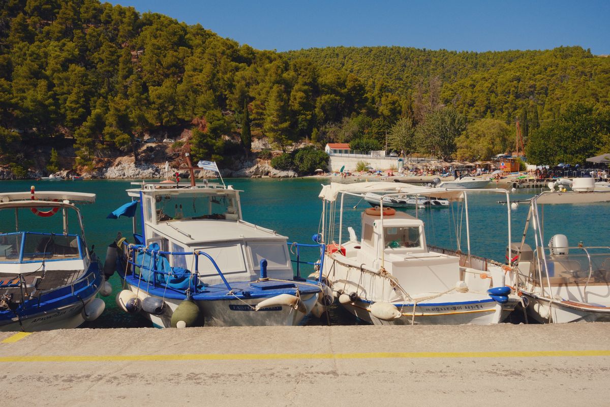 Padure densa de pin coborand pana in apa, cu barci pescaresti