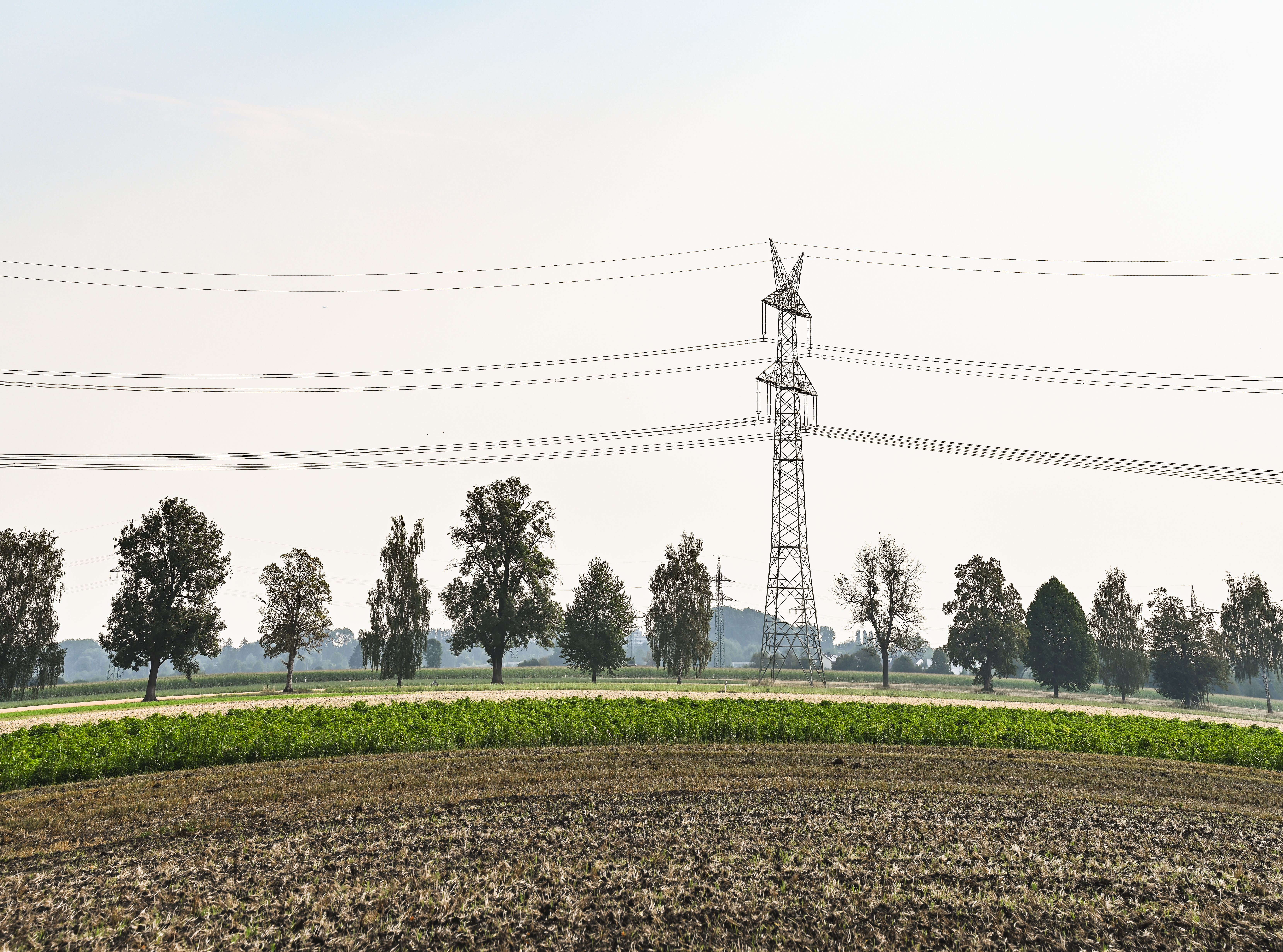 Wide view of electric transmission tower and power lines over farmland with trees.