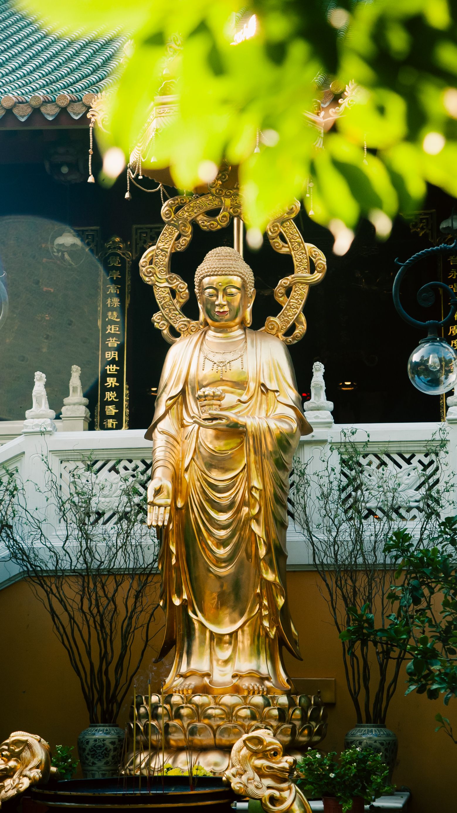 Majestic golden Buddha statue at a Vietnamese temple in Ho Chi Minh City, surrounded by lush foliage.