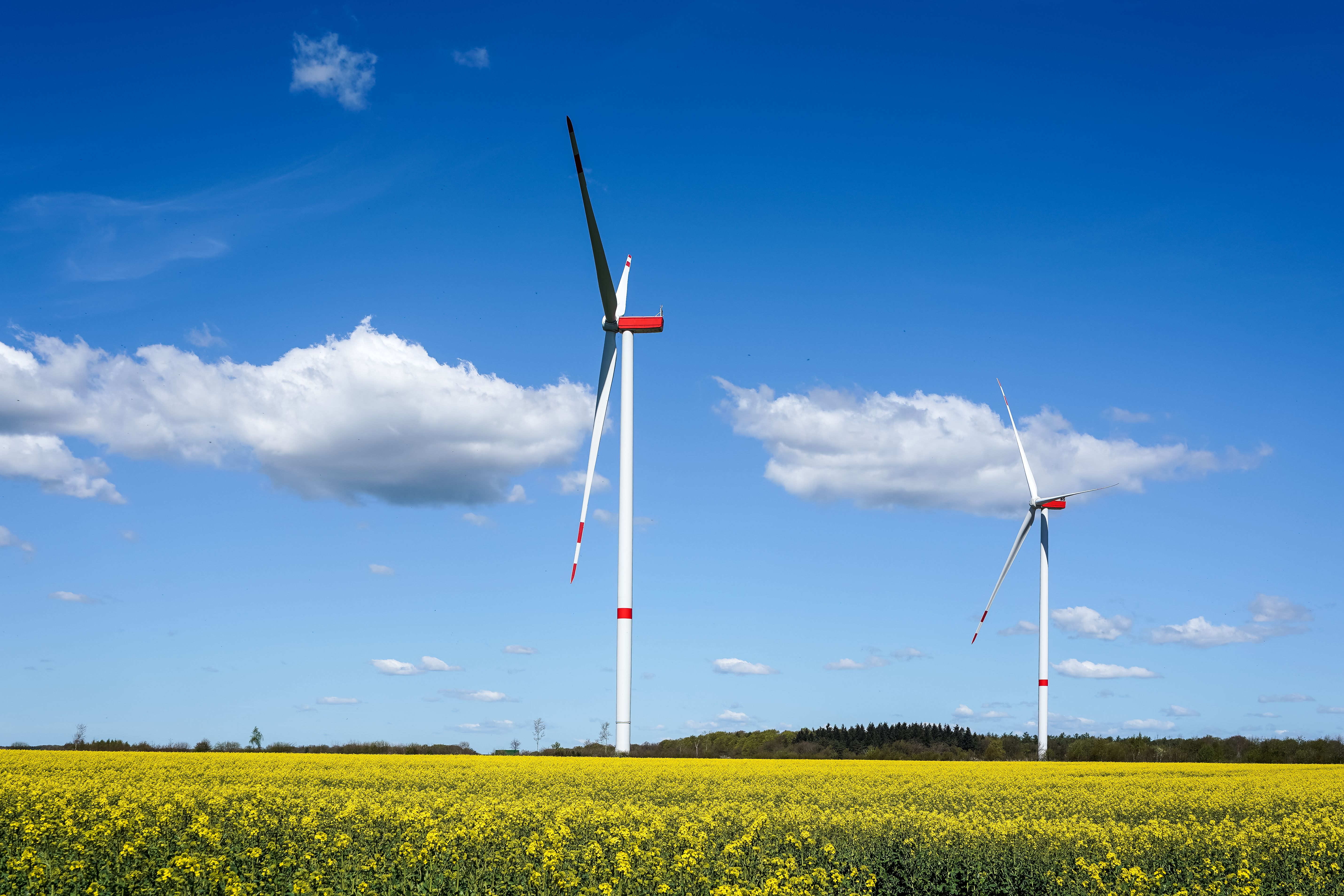 NEWSLETTER: Sustainable Switch Climate Focus: Europe's renewable energy paradox — Photo by Wolfgang Weiser on Pexels