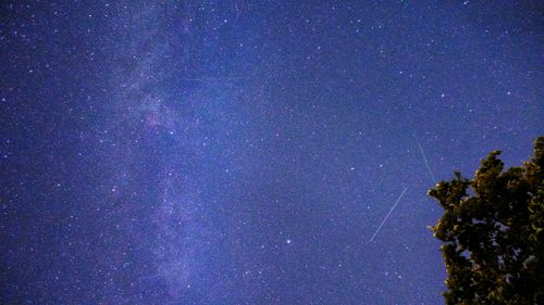 Free A stunning starry night sky showcasing meteor trails and a tree silhouette, creating a serene cosmic view. Stock Photo
