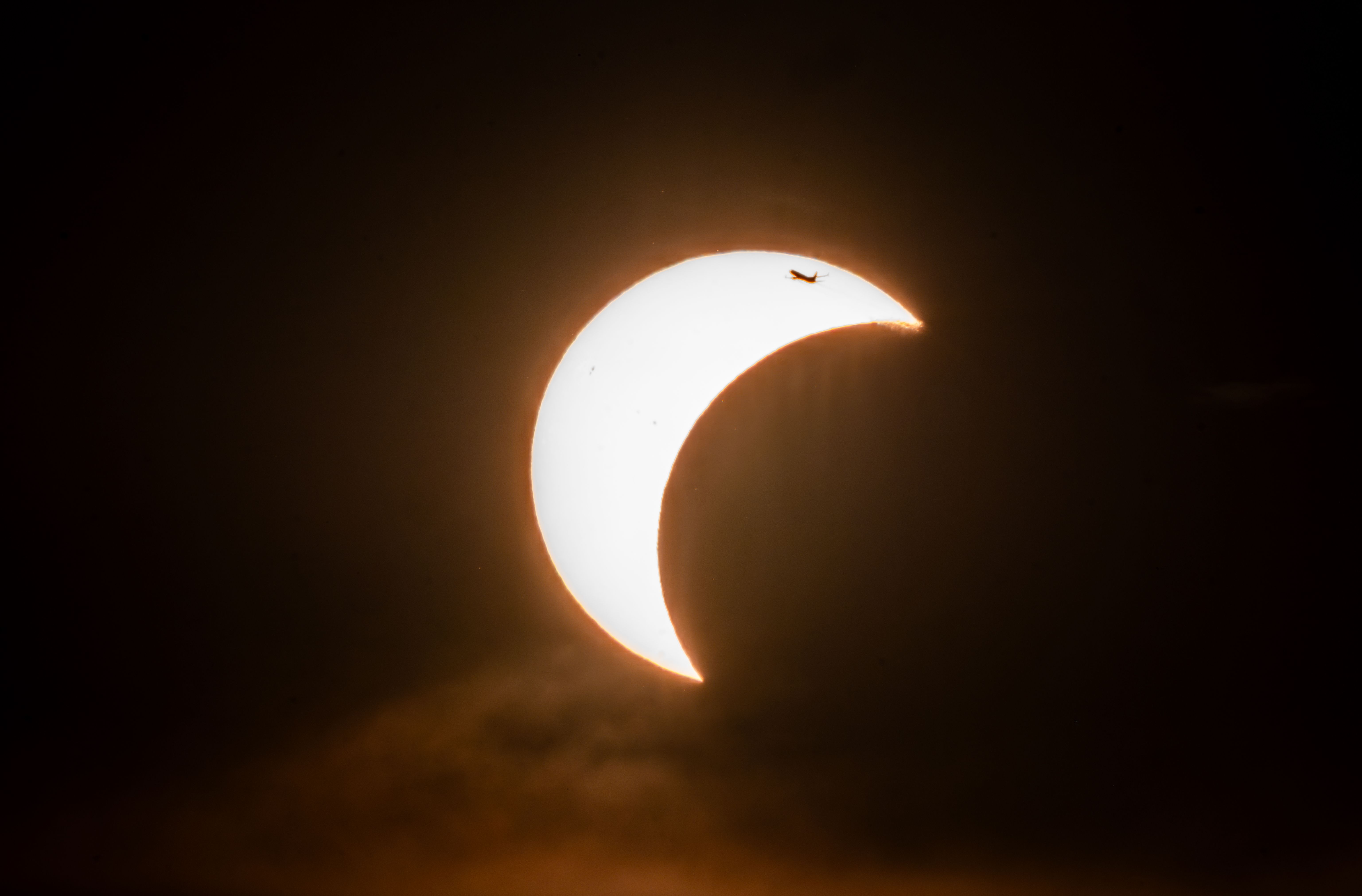 A silhouette of a bird flying across a crescent-shaped solar eclipse in the sky.