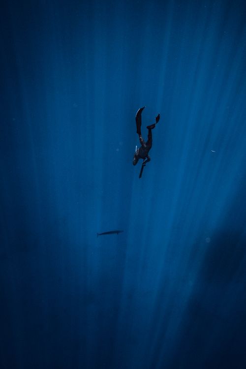 Free A lone diver swims in the deep blue ocean depths, surrounded by a vast expanse of water. Stock Photo