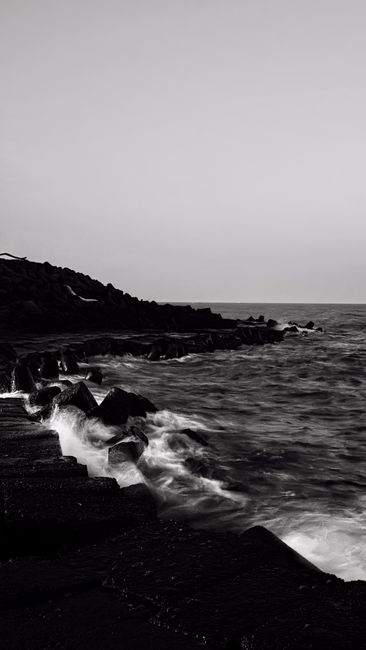 Fotomural Escena costera en blanco y negro de Goa, con olas rompiendo contra las rocas.