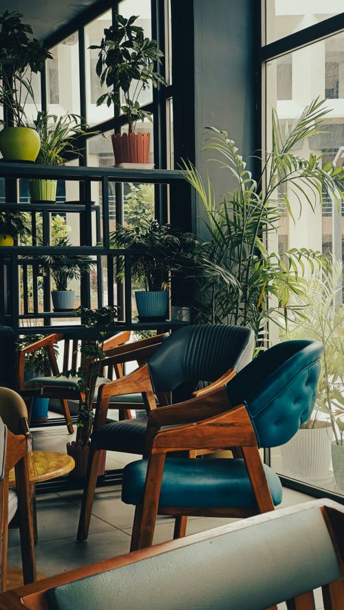 Free Modern cafe interior with lush greenery and stylish wooden furniture in bright daylight. Stock Photo