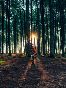 A person walking through a sunlit forest path, creating a mystical and serene atmosphere.