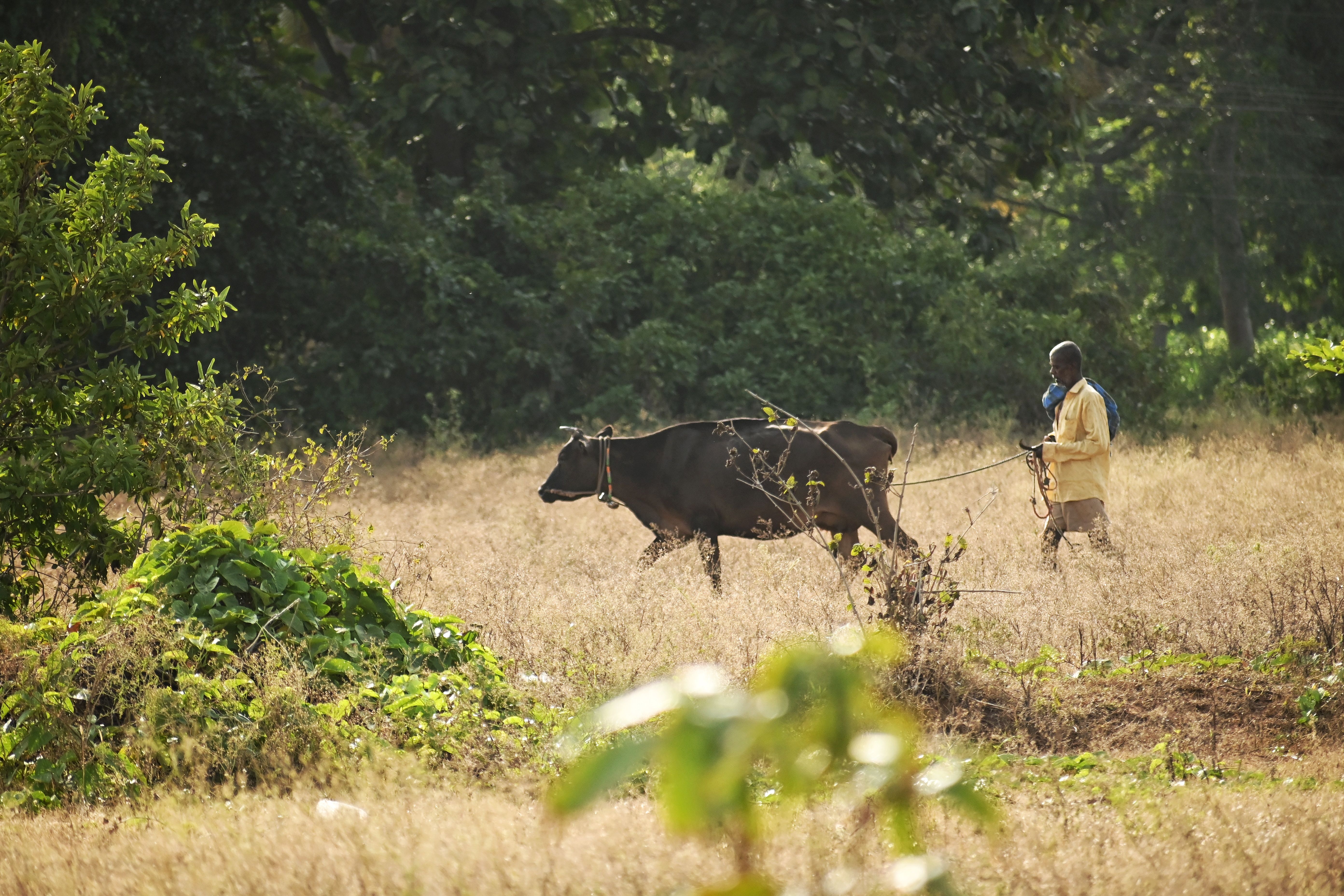 Jie Herders in Acholi Told to Repent Before They Can Draw Water