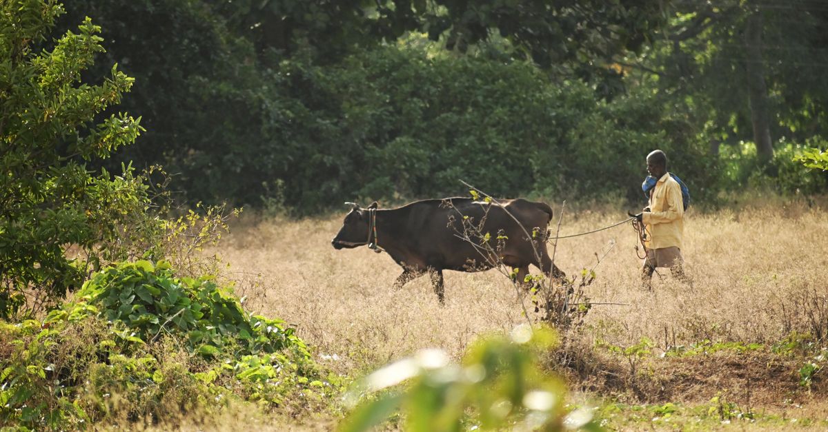 Jie Herders in Acholi Told to Repent Before They Can Draw Water