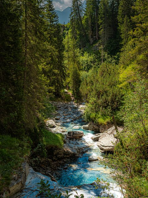 Free Serene alpine river flowing through lush forest in Flims, Switzerland, captured in summer. Stock Photo