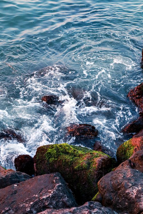 Free Waves crashing against coastal rocks with vibrant green algae in Samsun, Türkiye. Stock Photo