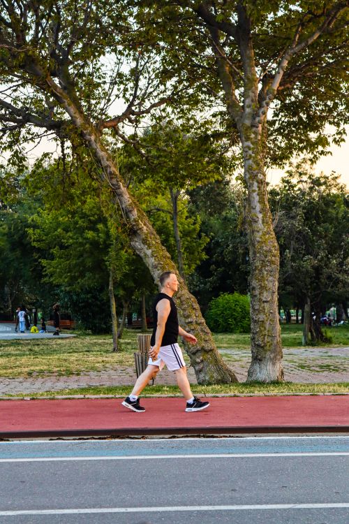 Free A man exercises by walking in a Samsun park during the evening with lush greenery around. Stock Photo