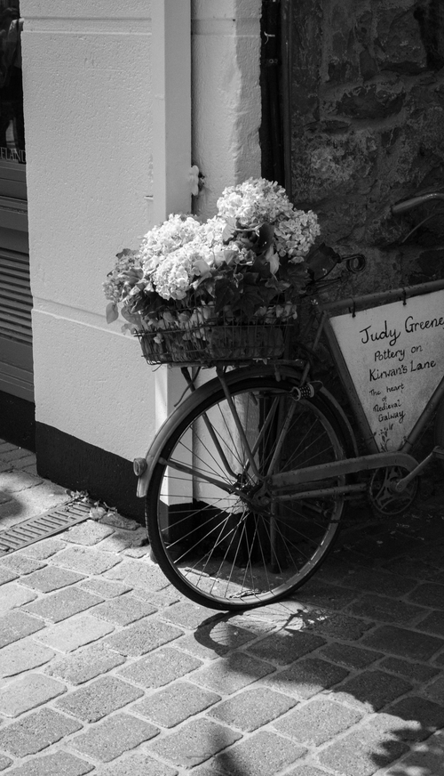 Free Charming black and white photo of a bicycle with flowers in Galway, Ireland. Stock Photo