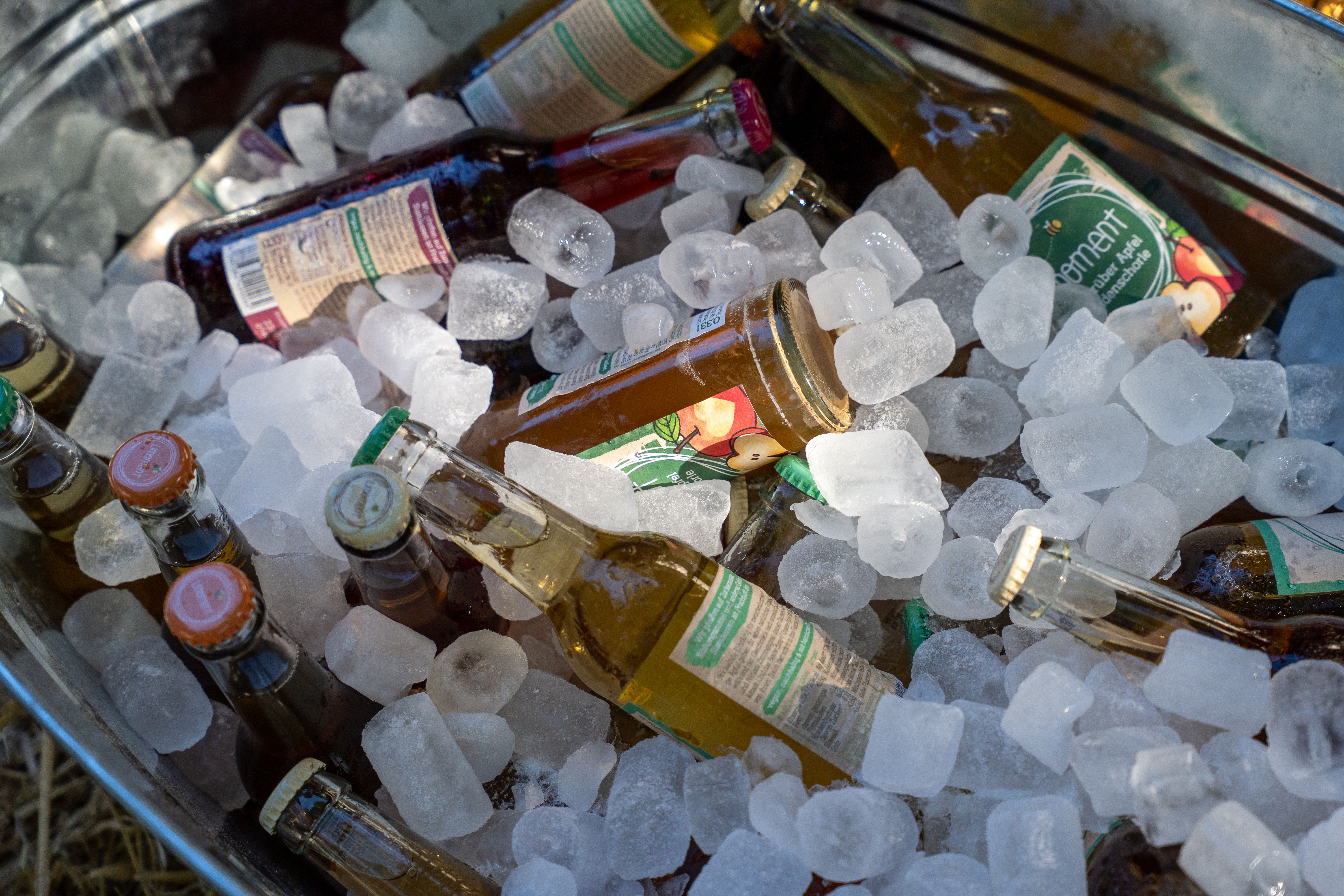 Central Kentucky Cider Event Plans 10% for Literacy