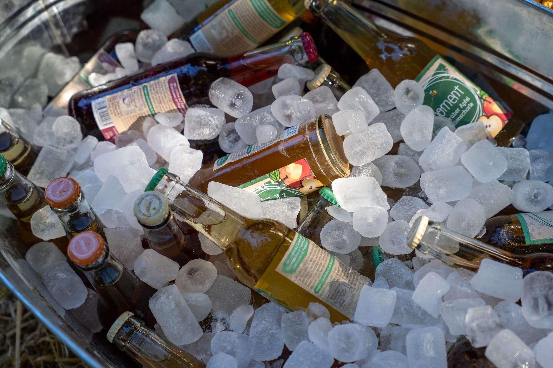 Central Kentucky Cider Event Plans 10% for Literacy
