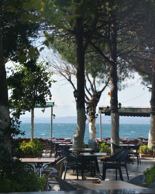 Free Empty seaside café with lush trees and ocean view, inviting calm atmosphere. Stock Photo
