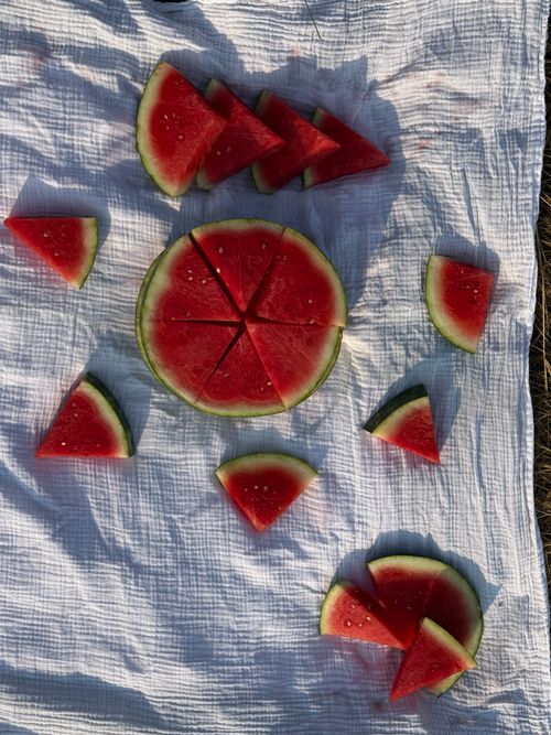 Free Slices of juicy watermelon arranged on a white picnic blanket outdoors in sunlight. Stock Photo