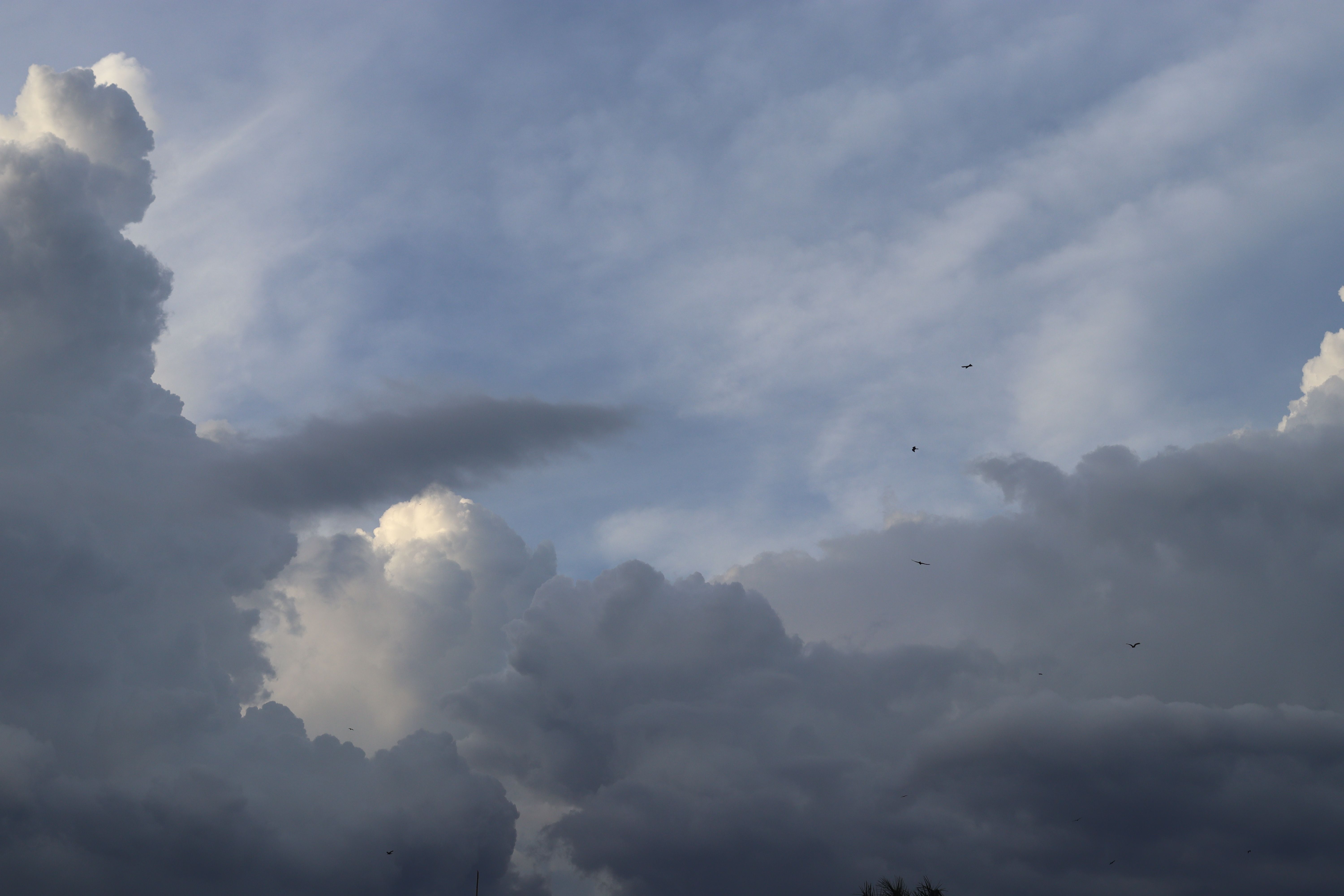 Dramatic scene of cumulus clouds against a blue sky, capturing a serene moment in nature.