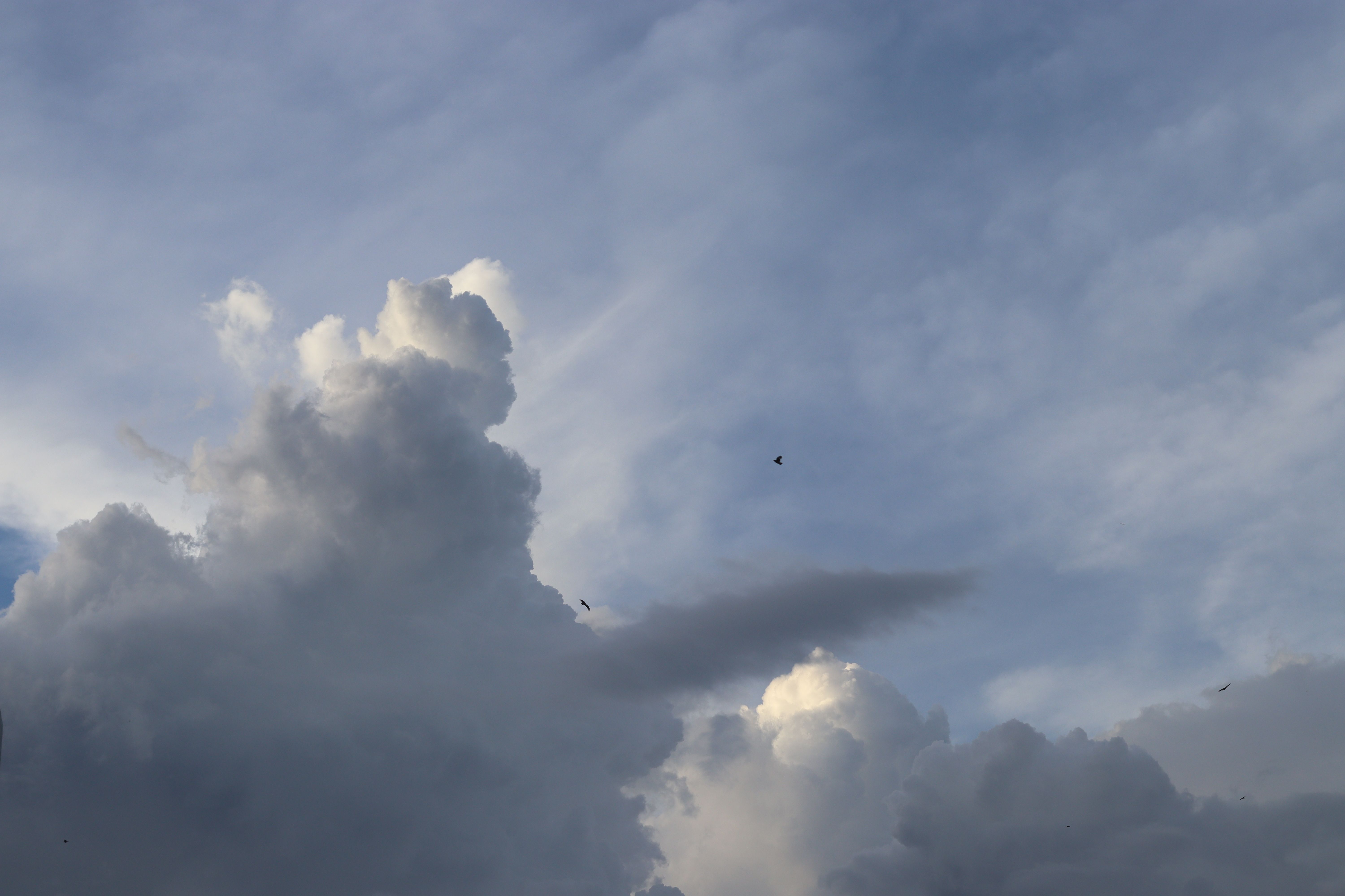 Scenic view of dramatic clouds against a serene blue sky, perfect for nature themes.