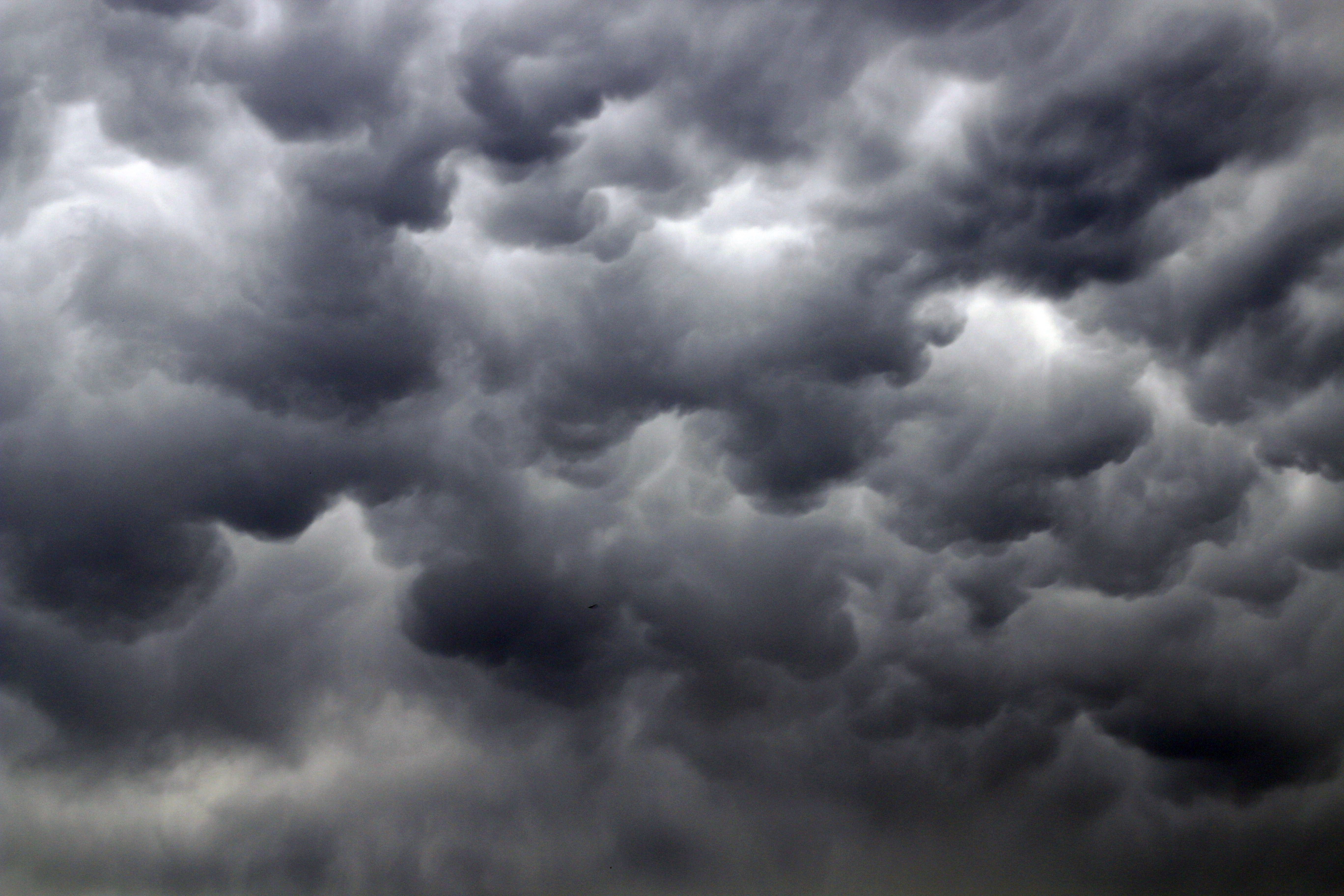 Ottawa Homeowners Feel the Bill: Ontario Storms Caused $439M in Damage