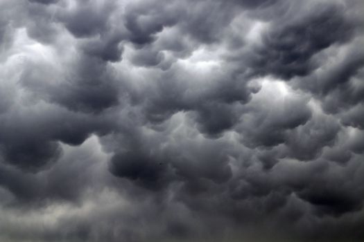 Ottawa Homeowners Feel the Bill: Ontario Storms Caused $439M in Damage