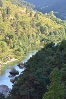A tranquil river flows through lush greenery at Gorges du Tarn, Occitanie, France.