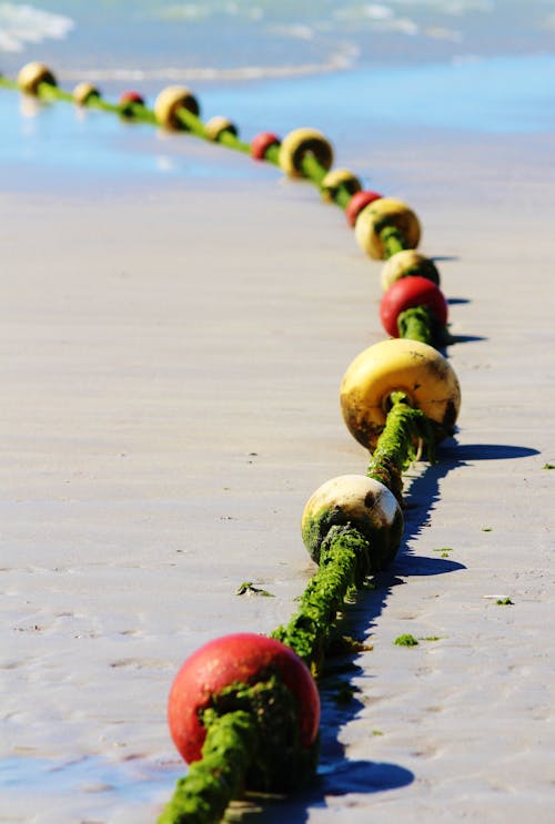 Yellow Green and Red Buoys