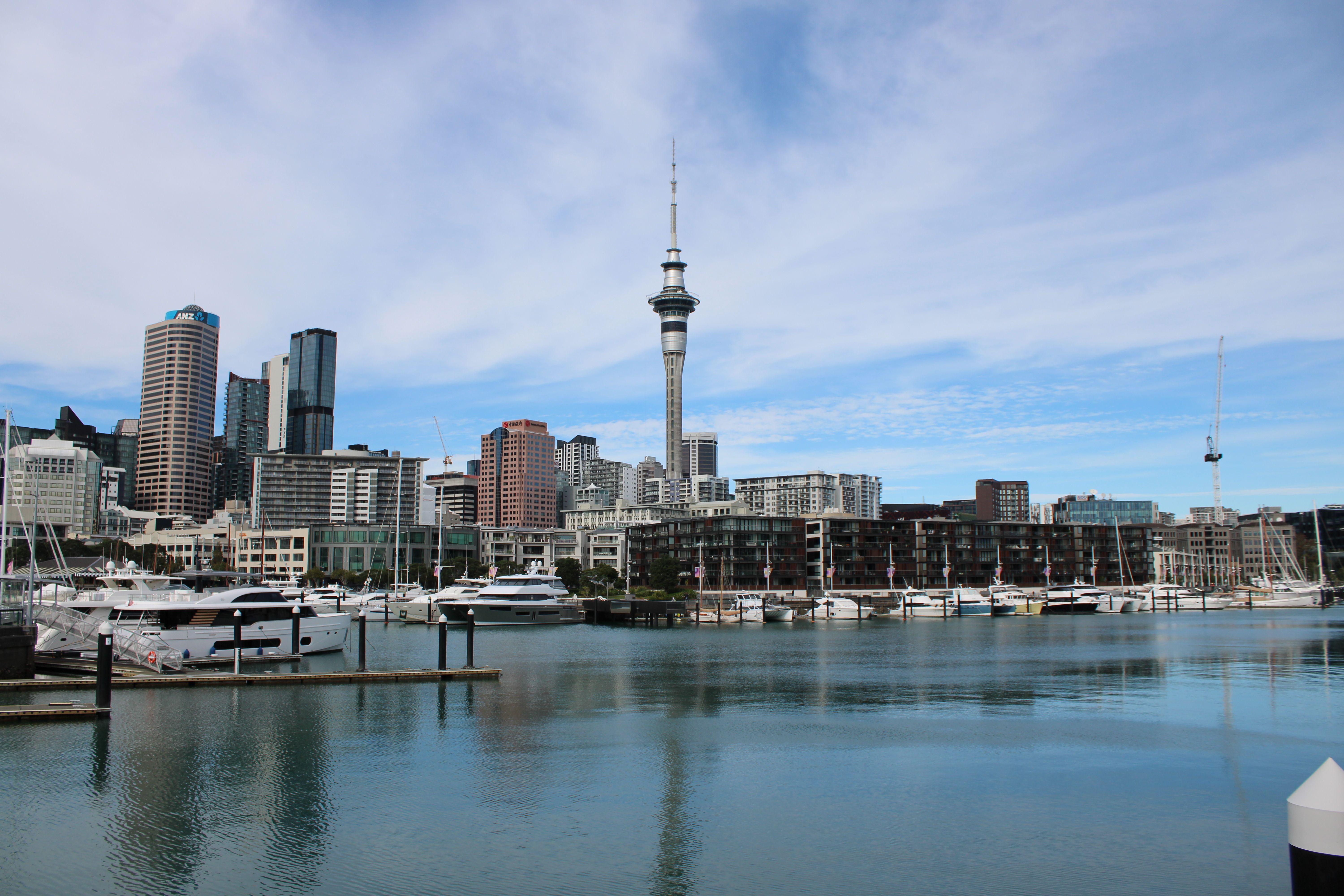 The Ultimate Sweat-Proof Apple Watch Band for Auckland’s Unpredictable Commutes – A Kiwi Dad’s Honest Take