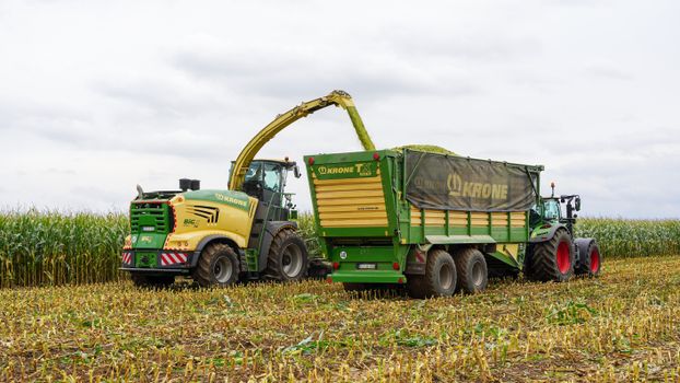 Efficient corn harvesting using Krone machinery in Lütau, Schleswig-Holstein.