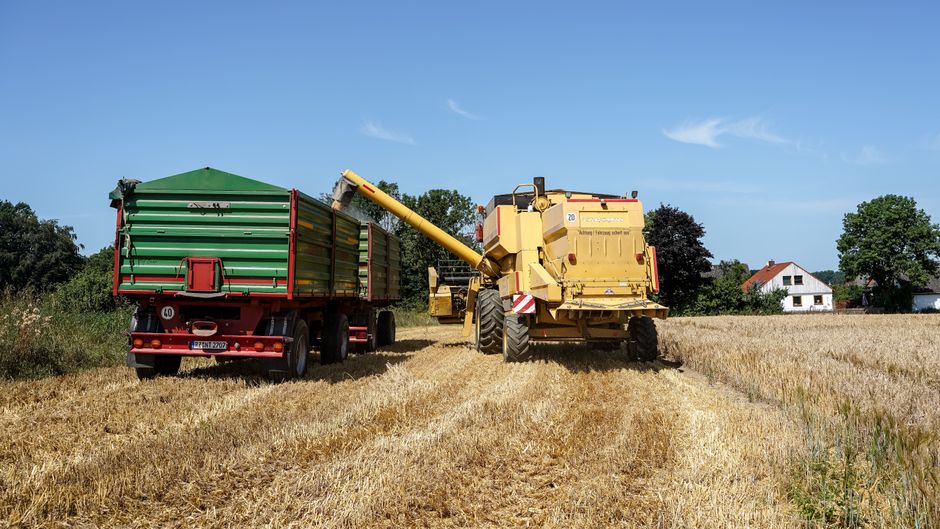 A combine harvester unloading into a trailer during summer harvest in Lütau, Germany.