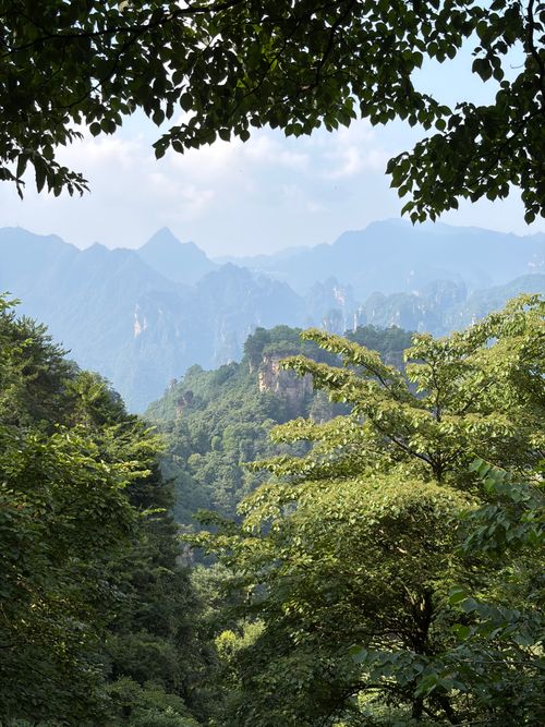 Free Breathtaking view of lush forests and mountains in Zhangjiajie, Hunan, China. Stock Photo