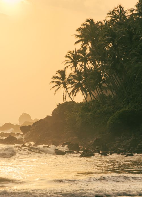 Free Peaceful tropical beach scene at sunrise with palm trees and ocean waves. Stock Photo