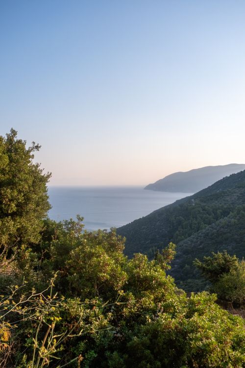 Free Lush greenery overlooking the serene sea under a clear sky in Greece, capturing the tranquil summer vibe. Stock Photo