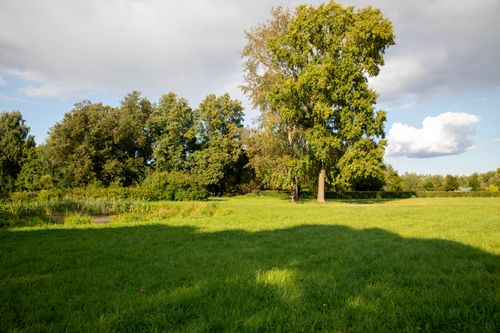 Free A serene green meadow under a clear blue sky with lush trees and vibrant grass. Stock Photo