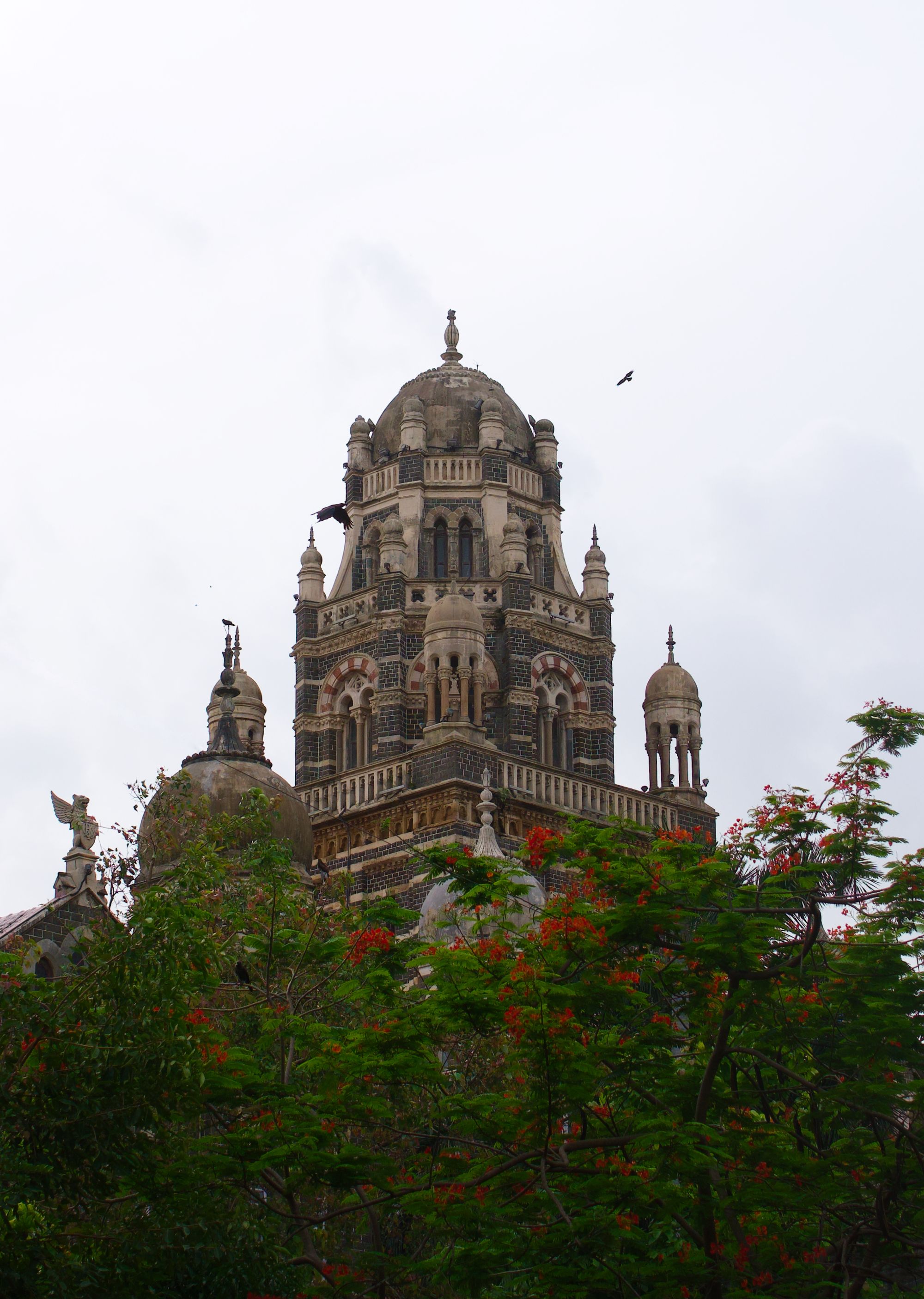 Photo: Harsh Khandelwal Fort